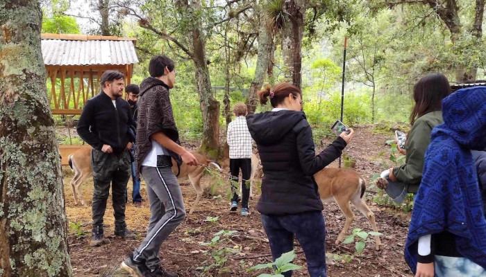 Ecoturismo Capulalpam Del Propietario - Capulálpam de Méndez