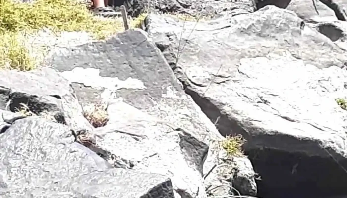 El Jacal -  Videos - Loma de Juárez