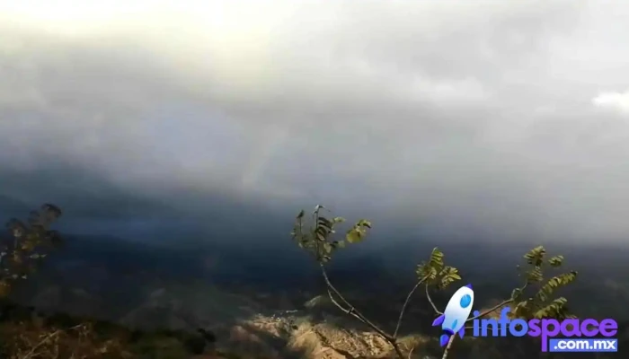 El Palmar -  Videos - El Palmar