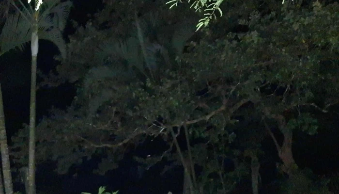 El Porveniroaxaca El Porvenir Cotzocon Mixe Oax - El Porvenir Cotzocon Mixe Oax.