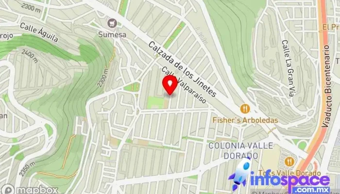 mapa de Estrategias TI Servicio de informática en Tlalnepantla