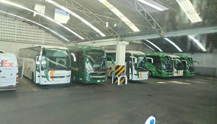 Estrella De Oro -  Autobus - Cuernavaca
