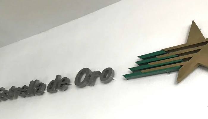 Estrella De Oro -  Sitio Web - Cuernavaca
