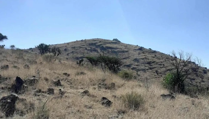 Ex Hacienda De Xalpa -  Zona - Ex Hacienda de Xalpa