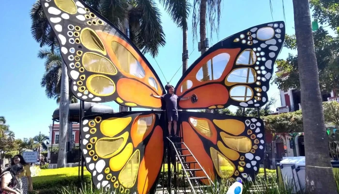 Flores Quezada Ramiro Licenciado -  Telefono - Mazatlán