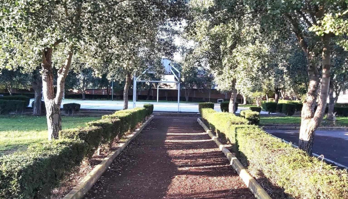 Fraccionamiento El Porvenir -  De Los Visitantes - San Miguel Zinacantepec
