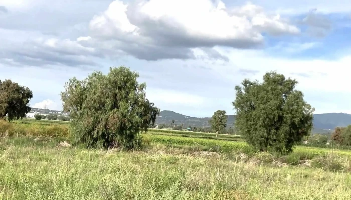 Fraccionamiento Hacienda Del Bosque -  Puntaje - Fraccionamiento Hacienda del Bosque