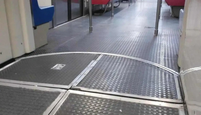 Francisco Goitia -  Tren - Xochimilco, Ciudad de México