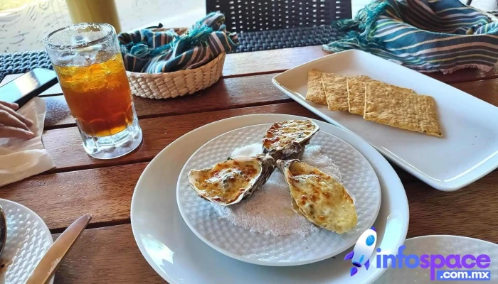 Hotel Gran Altata -  Comida Y Bebida - Sin.