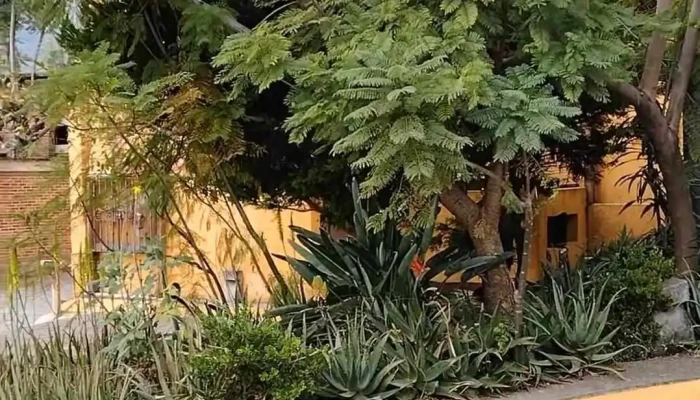 Hotel Plaza Del Sol -  Videos - Malinalco
