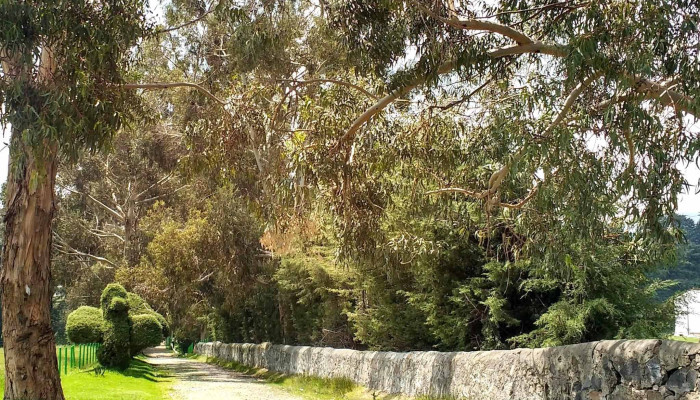 Id -  10392 Ex   Hacienda Precios - San Pedro Tejalpa