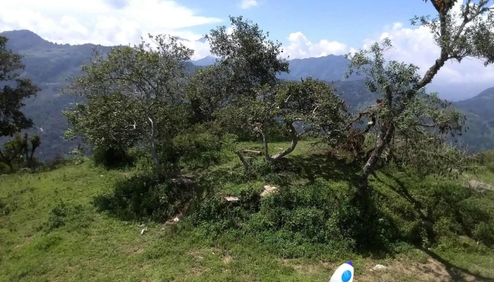La Cruz -  Montana - San Mateo Yoloxochitlán