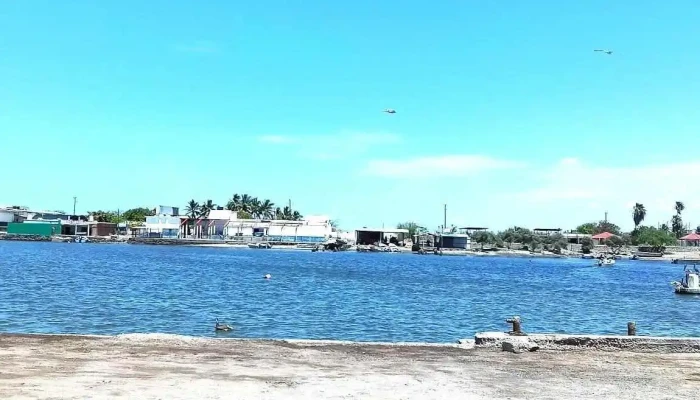 La Reforma Angostura Sinaloa Arena - La Reforma