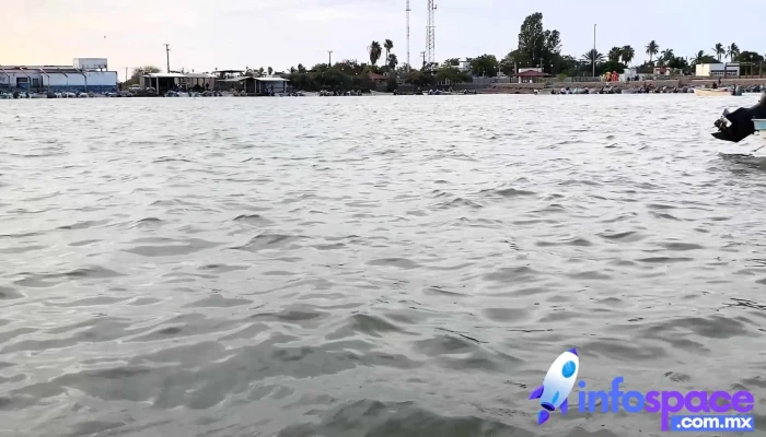La Reforma Angostura Sinaloa Videos - La Reforma