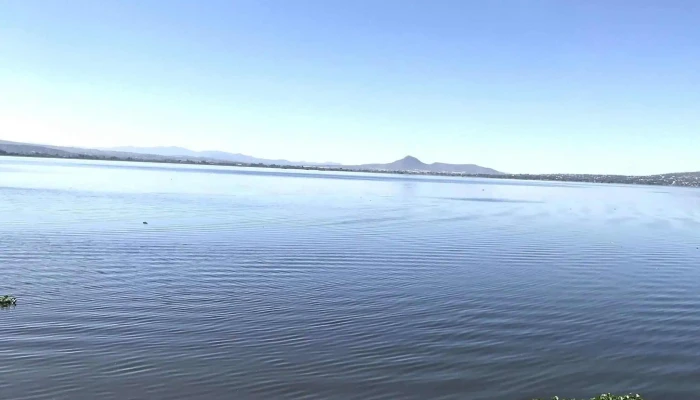 Laguna De Zumpango -  Como Llegar - Estado de México