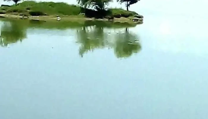 Laguna De Zumpango -  Videos - Estado de México