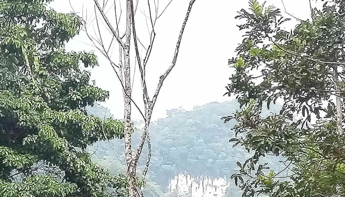 Limar Tila Chiapas -  Donde - El Limar