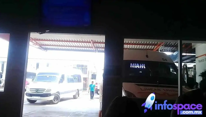 Lineas Unidas Videos - Oaxaca de Juárez