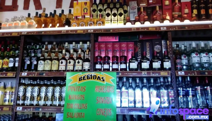 Los Portales -  Ambiente - Villa de Almoloya de Juárez