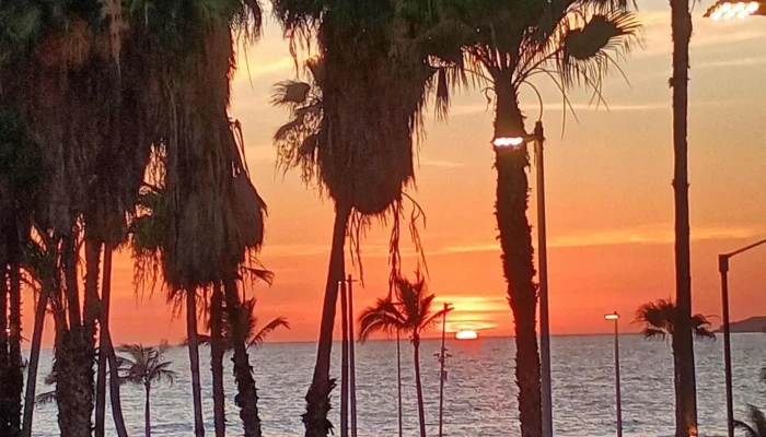Malecon De Mazatlan Mas Recientes - Mazatlán