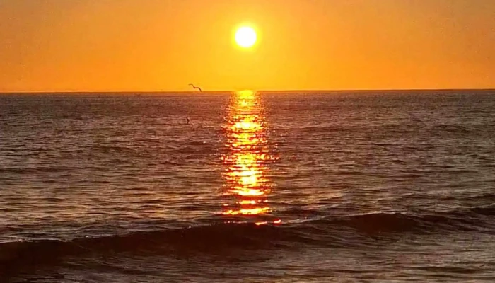 Malecón de Mazatlán - Mazatlán