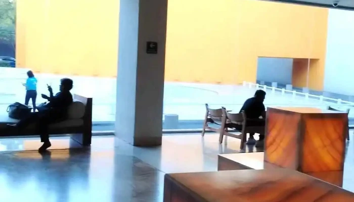 Mcdonalds Videos - Oaxaca de Juárez