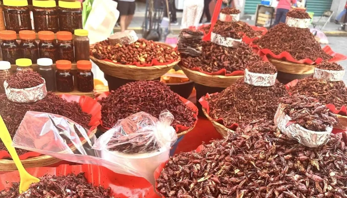 Mercado Benito Juarez Catalogo - Oaxaca de Juárez