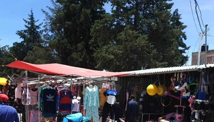 Mercado La Pulga -  Instagram - Santa María Totoltepec