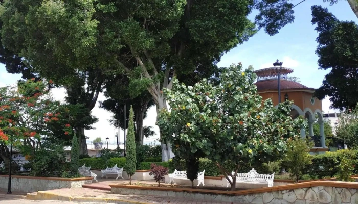 Mercado Municipal De Villa De Etla -  Comentarios - Villa de Etla