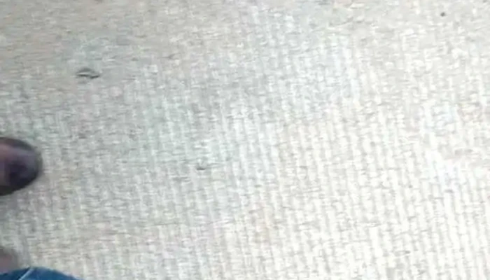Mercado Publico Ejidal De San Pedro Ixtlahuaca Videos - San Pedro Ixtlahuaca