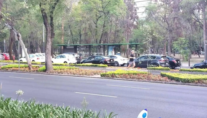 Metrobús Campo Marte - Línea 7 - Miguel Hidalgo, Ciudad De México