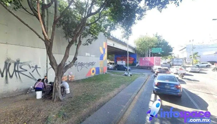 Mezquite - Guadalajara