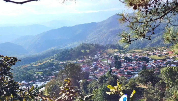 Mirador La Cruz -  Bosque - Capulálpam de Méndez