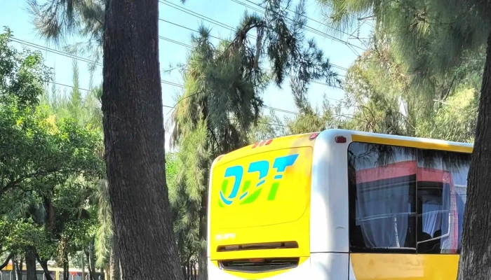 Odt Paradero Tecamac Comentarios - Tecámac de Felipe Villanueva