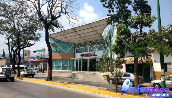 Omnibus De Chiapas Automovil - Santa Cruz