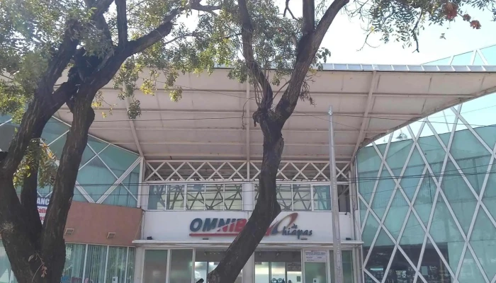 Omnibus De Chiapas Telefono - Santa Cruz