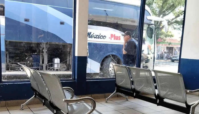 Omnibus De Mexico   Jimenez Fotos - Jiménez