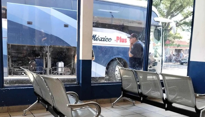 Omnibus De Mexico   Jimenez Telefono - Jiménez