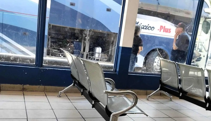 Omnibus De Mexico   Jimenez Zona - Jiménez