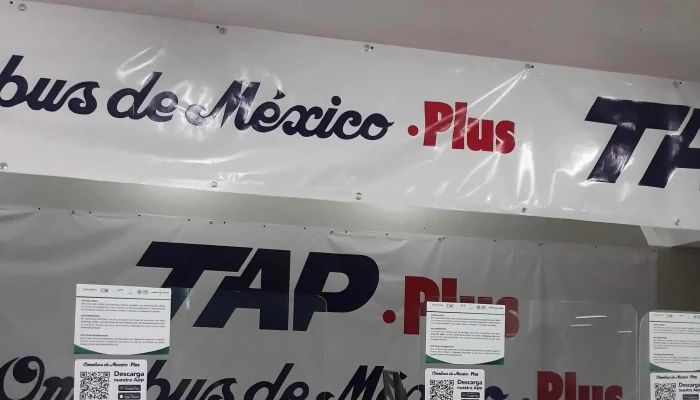 Omnibus De Mexico   Mazatlan Precios - Mazatlán