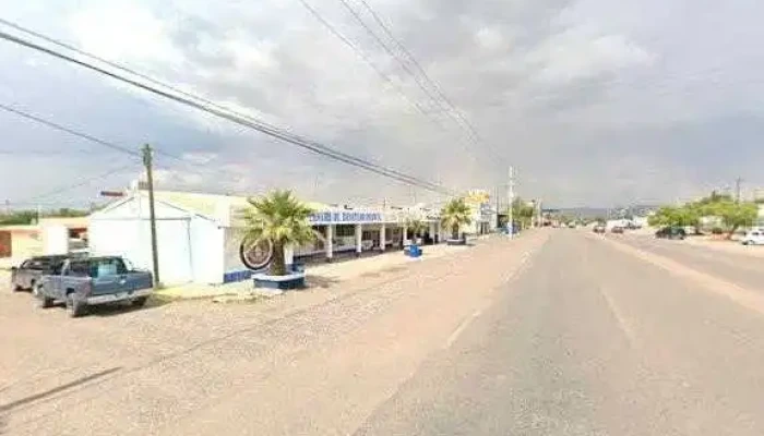 Omnibus De Mexico   Saucillo Instagram - Saucillo