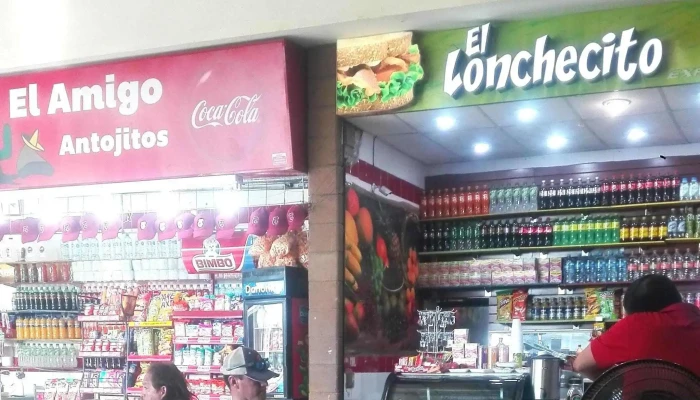 Omnibus De Mexico Culiacan Instagram - Culiacán Rosales