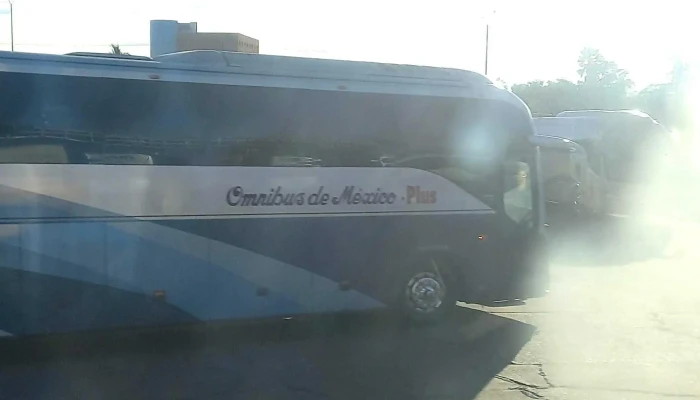 Omnibus De Mexico Culiacan Telefono - Culiacán Rosales