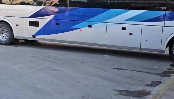 Omnibus De Mexico Dolores Hidalgo Barcelona Bus Turistic - Dolores Hidalgo Cuna de la Independencia Nacional