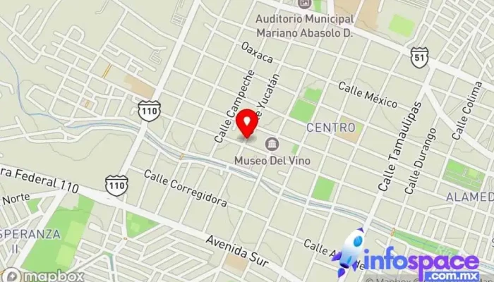 mapa de Omnibus de México Dolores Hidalgo Servicio de transporte en Dolores Hidalgo Cuna de la Independencia Nacional