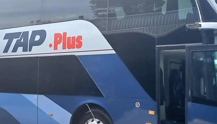Omnibus De Mexico Guasave Numero - Guasave