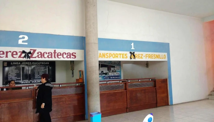 Omnibus De México - Jerez - Lagunita 8