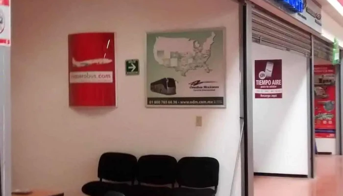 Omnibus de México Lerdo - Filiberto García