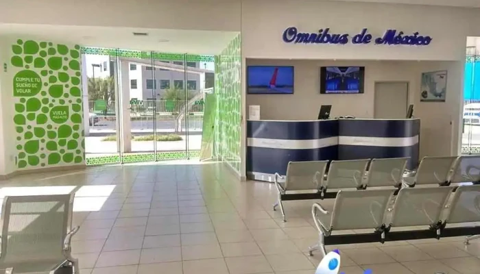 Omnibus De Mexico Metro Plaza Consulado Del Propietario - Cuidad Juárez