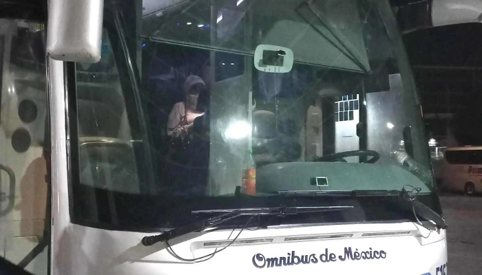Omnibus De Mexico Plus Omex Vip Tap Plus Descuentos - Santiago de Querétaro